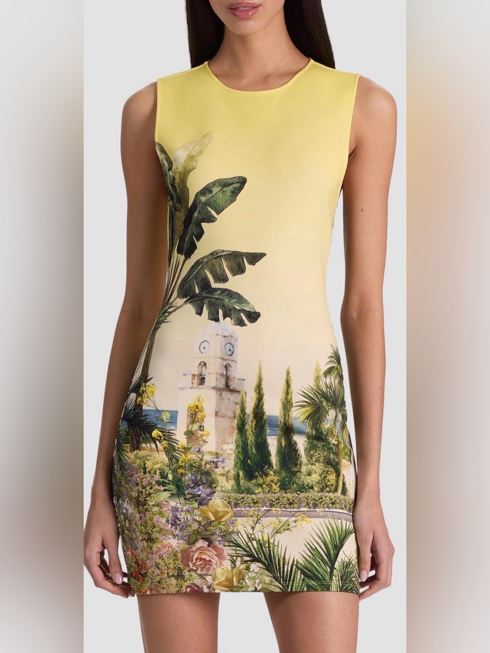 Alice + Olivia Wynell Graphic Fitted Minidress